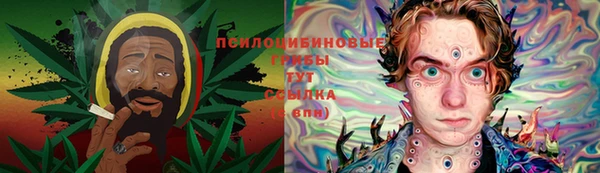соль ск Коряжма