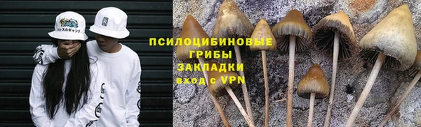 кокс Корсаков