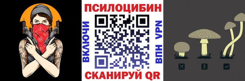 Купить закладки  Хасавюрт  Псилоцибиновые грибы прущие грибы 